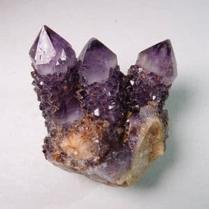 CACTUS QUARTZ (AMETHYST) - South Africa