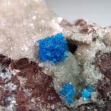 CAVANSITE CRYSTALS IN BASALT - India