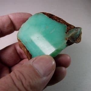 CHRYSOPRASE (CUT AND POLISHED)  - Poland