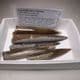 COLLECTION OF FIVE JURASSIC BELEMNITES  - 190 million years old -  Dorset (collected in the 1960s)