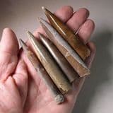 COLLECTION OF FIVE JURASSIC BELEMNITES - 190 million years old - Dorset (collected in the 1960s)