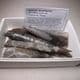 COLLECTION OF FIVE JURASSIC BELEMNITES    - 190 million years old -  Dorset (collected in the 1960s)