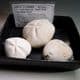 COLLECTION OF SEA URCHINS (ECHINOIDS) FROM THE CHALK - 80 million years old  -  Beer Head, Devon