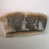 COTHAM MARBLE (POLISHED) - 200 million years old - Bristol