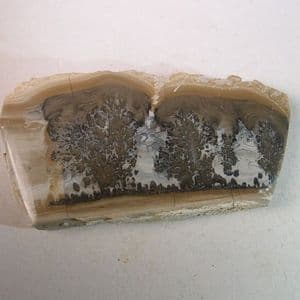 COTHAM MARBLE (POLISHED) - 200 million years old - Bristol