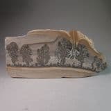 COTHAM MARBLE (POLISHED SLAB) - 200 million years old - Bristol