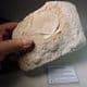 CRETACEOUS BIVALVE - 70 million years old - Belgium