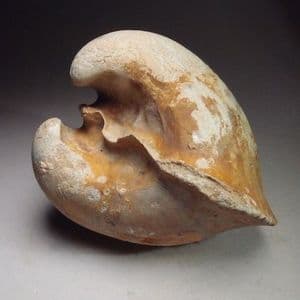 CRETACEOUS BIVALVE (INTERNAL CAST)  -   120 million years old  -  Hythe Beds. Ashford, Kent