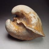 CRETACEOUS BIVALVE (INTERNAL CAST) - 120 million years old - Hythe Beds. Ashford, Kent