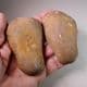 CUT AND POLISHED FLINT PEBBLE (both halves)   -  Norfolk