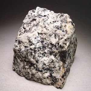 DARTMOOR GRANITE - Princetown, Dartmoor, Devon