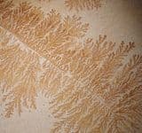 DENDRITES - Bavaria, Germany