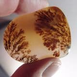 DENDRITIC AGATE (POLISHED GEMSTONE) - Russia