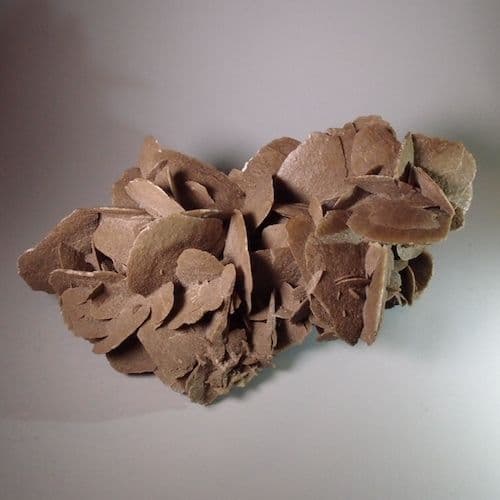 DESERT ROSE LARGE EXAMPLE - NORTH AFRICA