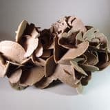 DESERT ROSE (LARGE EXAMPLE) - NORTH AFRICA