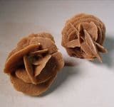 DESERT ROSES  - North Africa