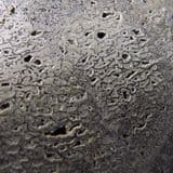 DINOSAUR BONE - 125 million years old - Isle of Wight