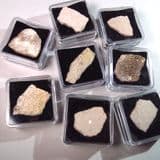 DINOSAUR EGGSHELL - 70 million years old - Argentina