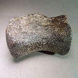 DINOSAUR VERTEBRA (NIGERSAURUS) - 120 million years old -  Niger,  Africa