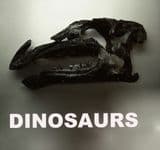 DINOSAURS AND OTHER REPTILES