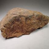 DOLERITE SILL WITH CHILLED MARGIN - Tideswell Dale, Derbyshire