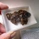 ELATERITE (NATURAL BITUMEN) - Derbyshire