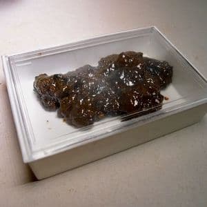 ELATERITE (NATURAL BITUMEN) - Derbyshire
