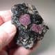 EUDIALYTE CRYSTALS IN SYENITE -  Russia