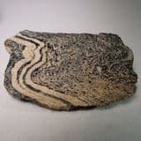 FOLDED GNEISS -small example cut and partly polished