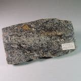 FOREST MARBLE - 165 million years old