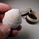 FOSSIL BIVALVE (SPONDYLUS) - SMALL EXAMPLE  - 80 million years old - Kent