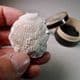 FOSSIL BIVALVE (SPONDYLUS) - SMALL EXAMPLE  - 80 million years old - Kent