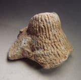 FOSSIL CHALK SPONGE - 80 million years old - Essex