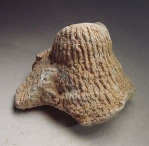 FOSSIL CHALK SPONGE - 80 million years old - Essex