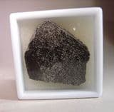 FOSSIL ELEPHANT BONE - 500,000 years old - Norfolk