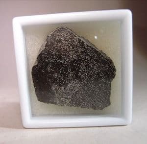 FOSSIL ELEPHANT BONE - 500,000 years old - Norfolk