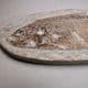 FOSSIL FISH   -  110 million years old  -   Brazil