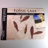 FOSSIL LAKE: THE COMMON FISHES (NEW COPY) - A guide to the fossil fish of the Green River Formation