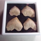 FOSSIL SHARKS TEETH (IN GLASS DISPLAY BOX) - 90 million years old - Morocco