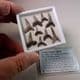 FOSSIL SHARKS TEETH  (IN GLASS DISPLAY BOX) -  ISLE OF SHEPPEY, KENT - 50 million years old