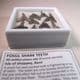 FOSSIL SHARKS TEETH  (IN GLASS DISPLAY BOX) -  ISLE OF SHEPPEY, KENT - 50 million years old