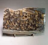 FOSSIL WOOD CONTAINING 'SHIPWORM' BORINGS (polished) - 50 million years old - Isle of Sheppey, Kent
