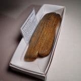 FOSSILISED BONE OF WHALE (15 centimetre) - about 10 million years old - Bawdsey, Suffolk
