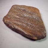 FOSSILISED BONE OF WHALE - about 10 million years old - Bawdsey, Suffolk