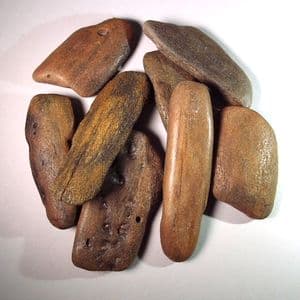 FOSSILISED BONE OF WHALE - about 10 million years old - Dovercourt, Essex