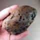 FOSSILISED WHALE BONE -  about 10 million years old  -  Bawdsey, Suffolk