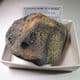 FOSSILISED WHALE BONE -  about 10 million years old  -  Bawdsey, Suffolk