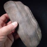 FOSSILISED WOOD - 50 million years old - London Clay. Bawdsey, Suffolk