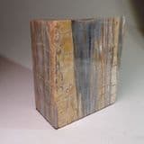 FOSSILISED WOOD - Arizona, U.S.A.