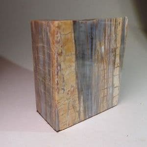 FOSSILISED WOOD - Arizona, U.S.A.
